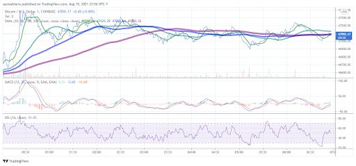 BTC, XRP and DOGE up by more than 5% each