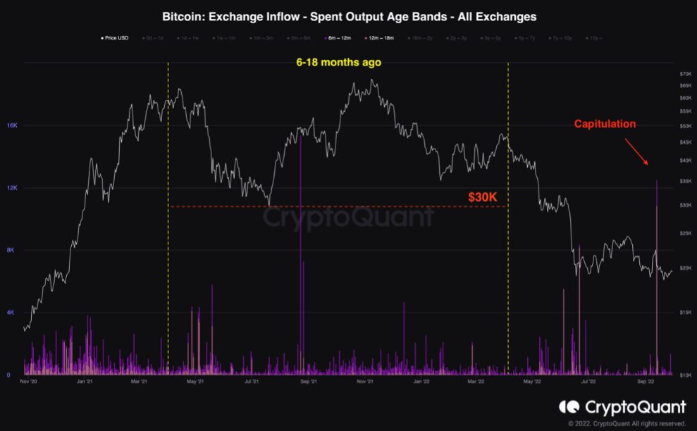 Bitcoin 2021 bull market buyers ‘capitulate’ as data shows 50% losses