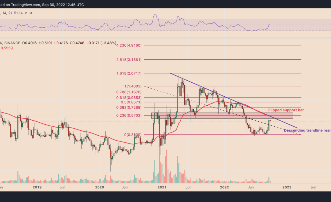 XRP price could rally by 50% based off comments from a former SEC director