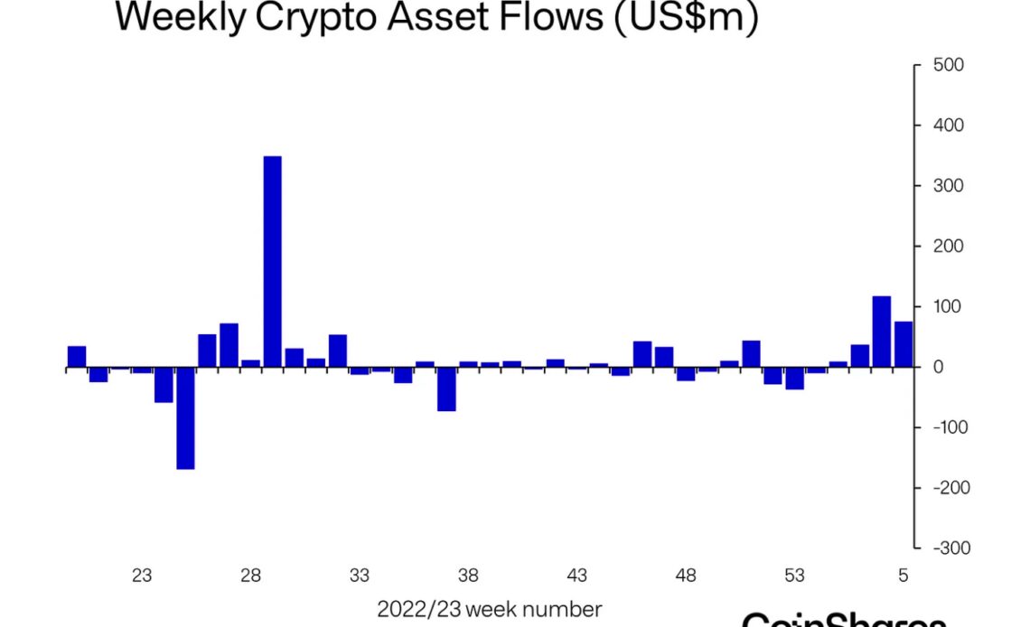 Bitcoin dominates as primary focus for digital asset investors: Report
