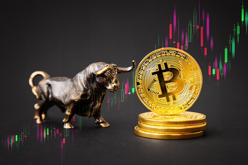 Bitcoin surges above $30,100: here are the driving factors