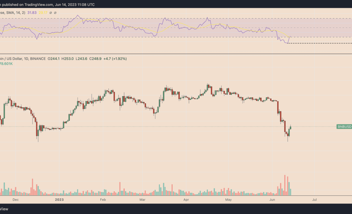 Why is BNB price up today?