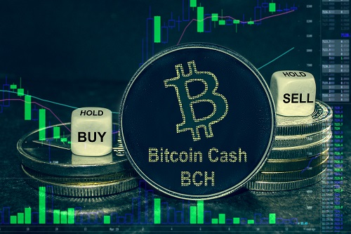 Bitcoin Cash price spikes to 14-month high