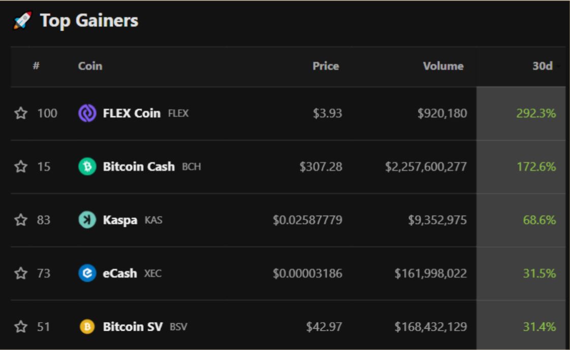 Bitcoin forks BCH, BSC and XEC soared last month, but are the gains organic and sustainable?