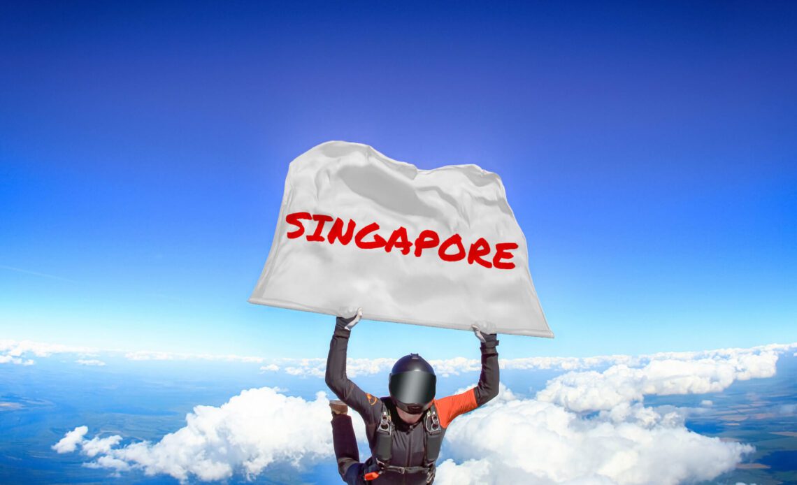 singapore temasek not comfortable investing crypto firms