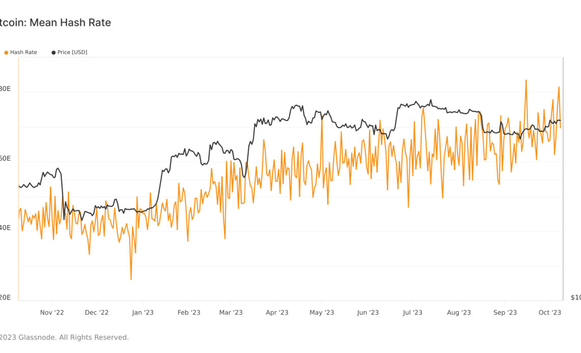 bitcoin hash rate 1y