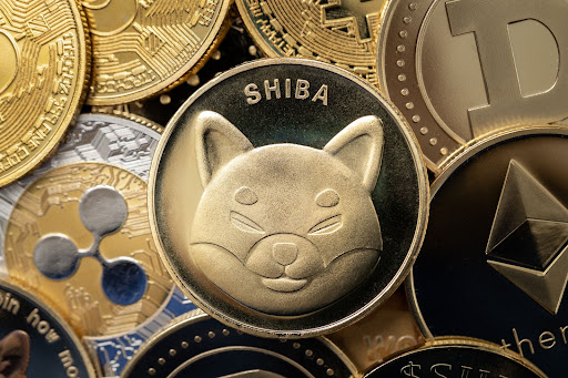 3 Key Reasons Investors are Flocking to This Meme Coin Presale Alongside Shiba Inu