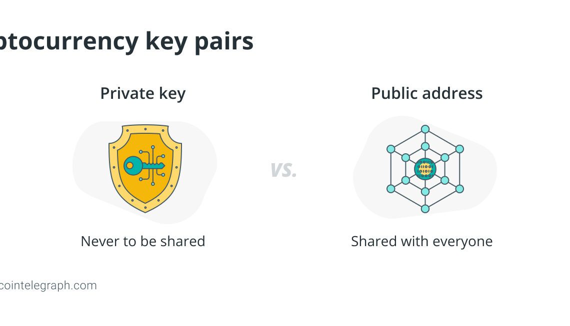 How to backup your crypto wallet private keys