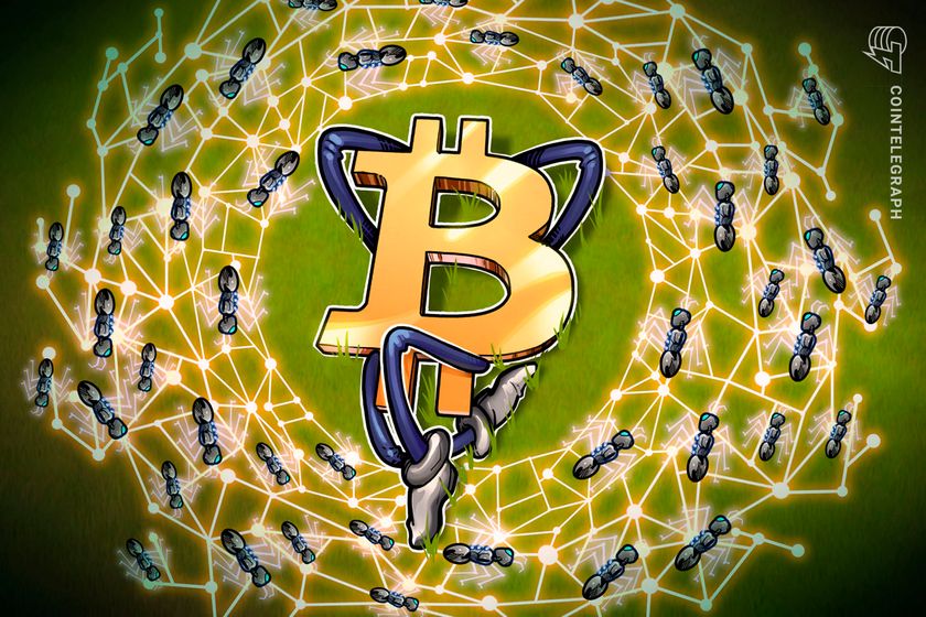 Bitcoin ecosystem reinvigorated by memecoins, new protocols